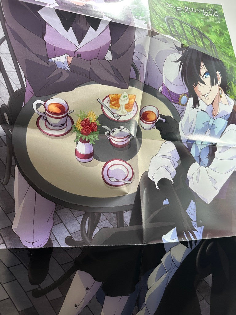 Double Sided Poster Extra Large BlackStar Case Study of Vanitas