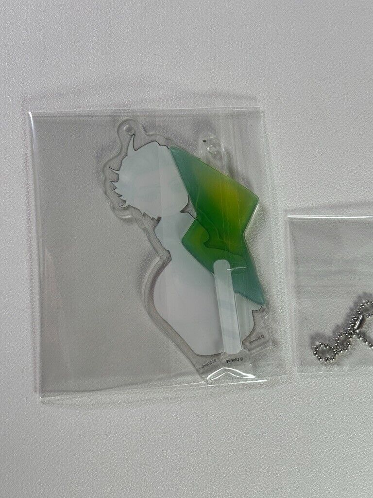 Twisted Wonderland Acrylic Charm Diasomnia Sebek Zigvolt