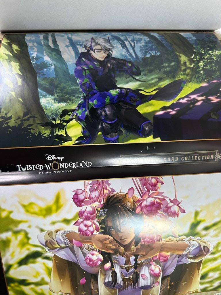 As Is Twisted Wonderland Official Fan Book Villains World Ignihyde Diasomnia
