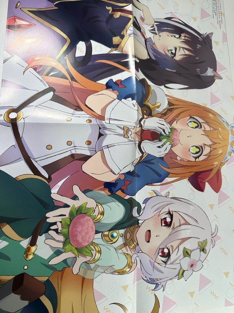 Double Sided Poster Princess Connection Re:Dive Idolish Second Beat
