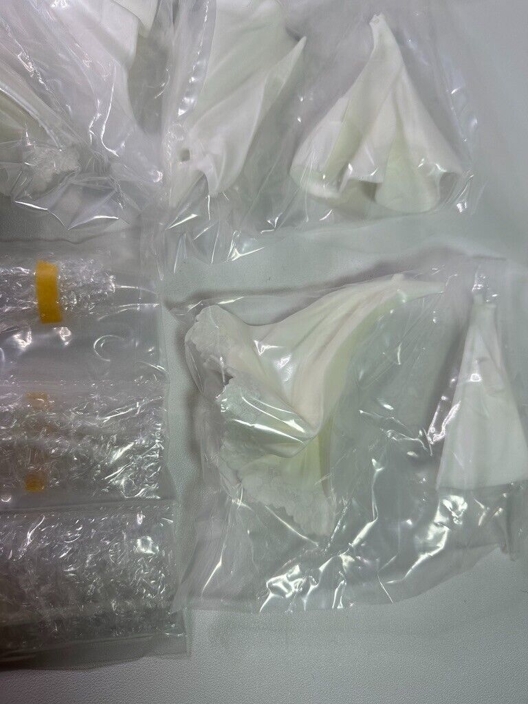 Fate/Stay Night Saber GK Figure Resin Garage Kit  Unpainted Unassembled