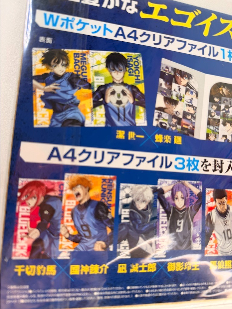 Blue Lock Clear File Book Set Reo Nagi Bachira Chigiri Rin