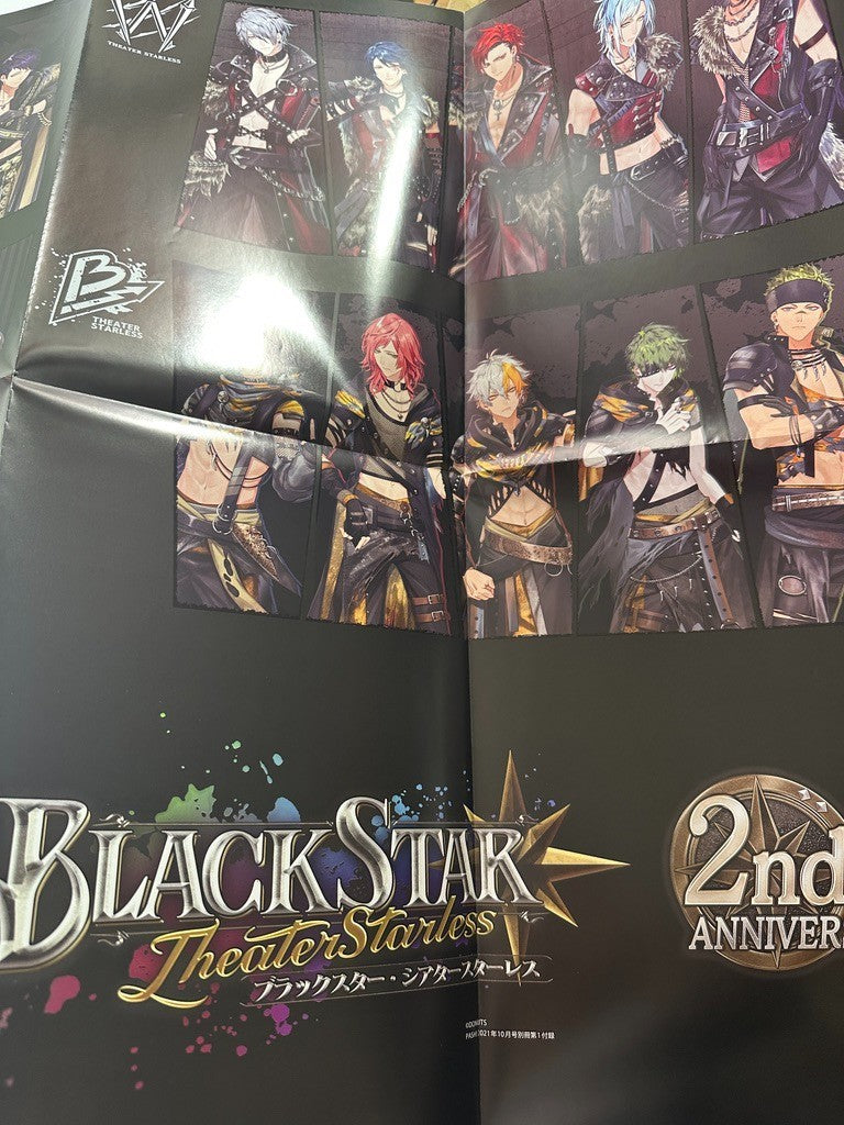 Double Sided Poster Extra Large BlackStar Case Study of Vanitas