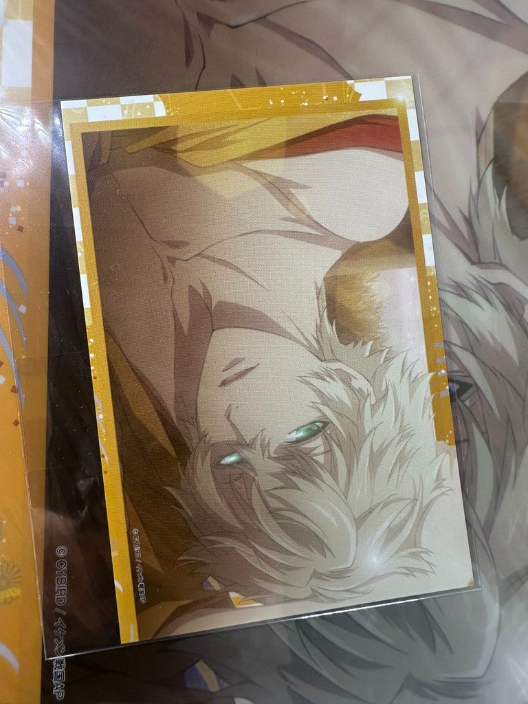 Ikemen Sengoku Clear File Post Card Set Ieyasu Tokugawa