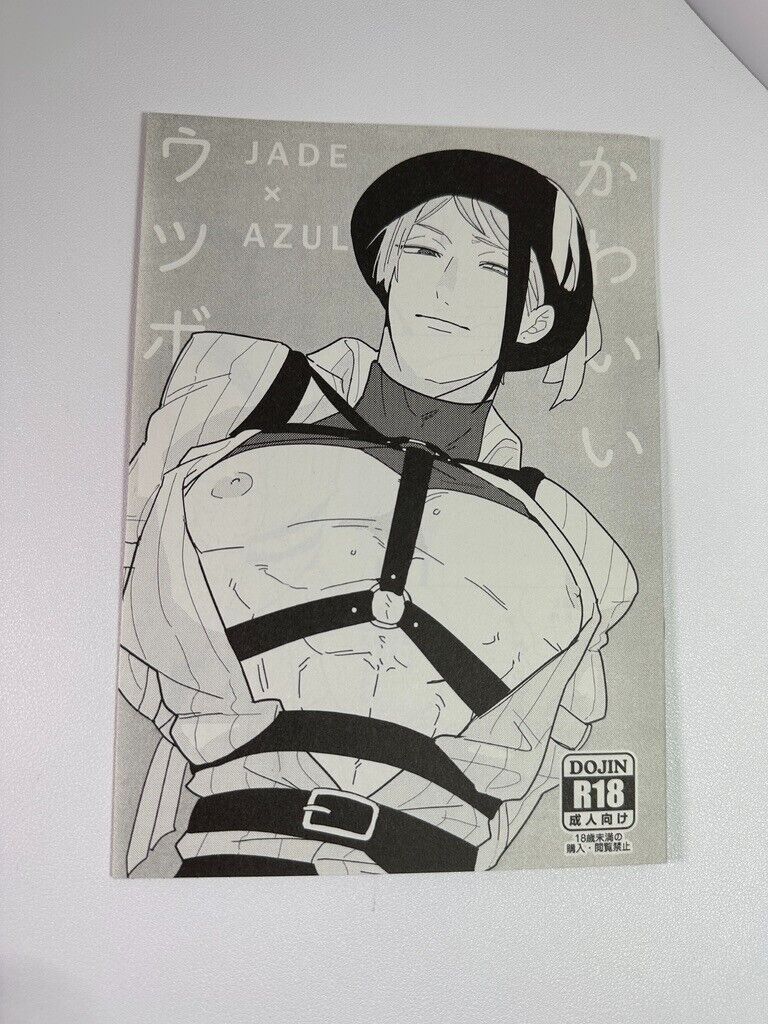 Twisted Wonderland Japanese Doujinshi Yaoi Octavinelle Paper Set Jade Azul Floyd