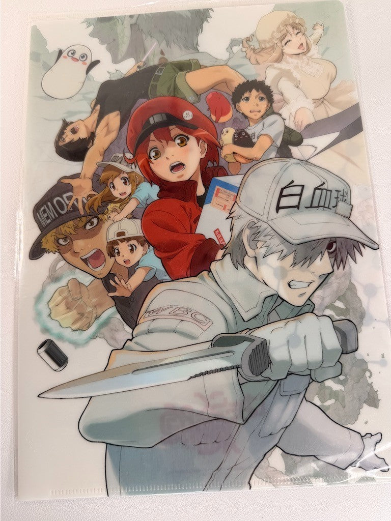 Cells At Work Clear File AE3803 U-1146