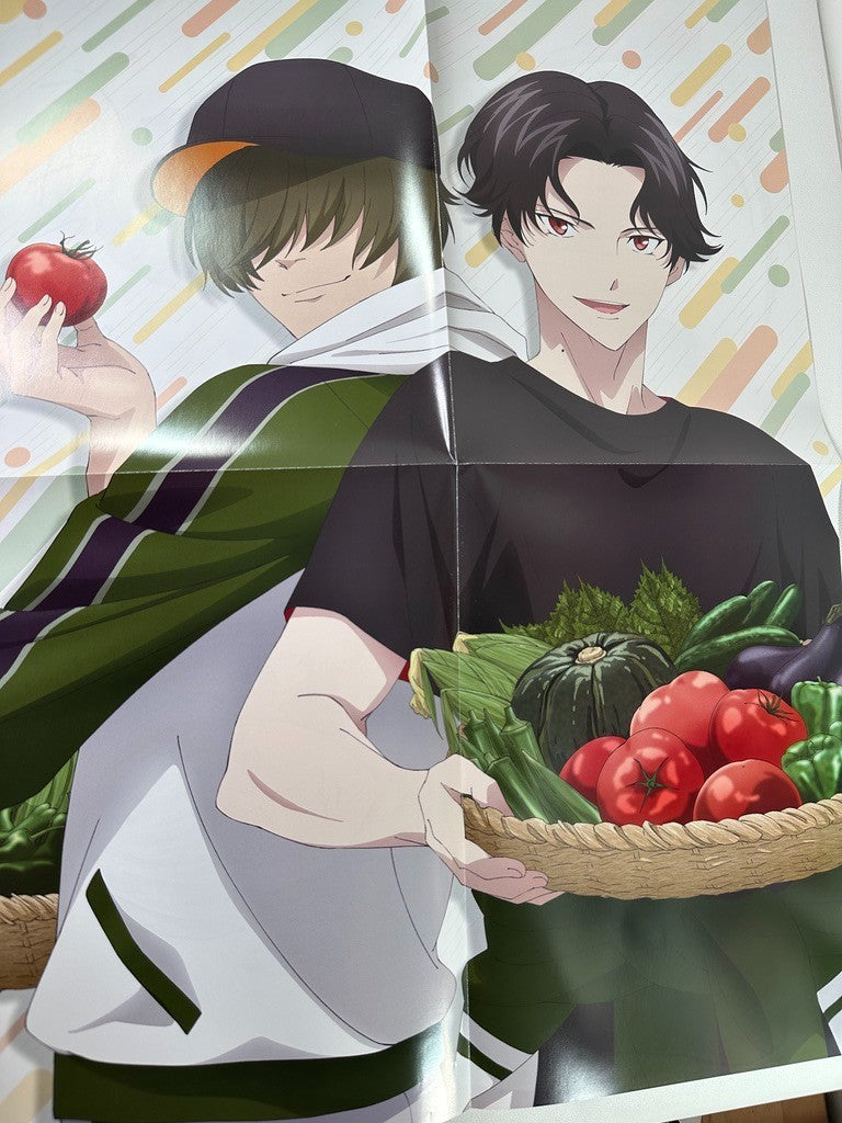 Double Sided Poster Touken Ranby Hanamaru Tiger and Bunny 2
