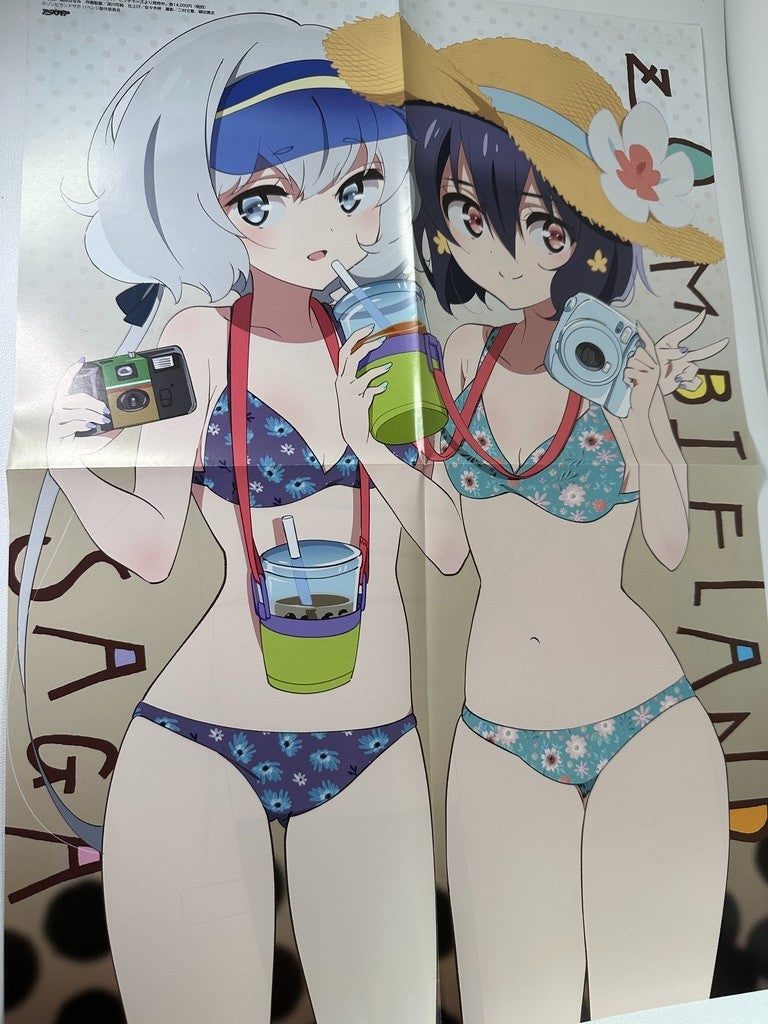 Double Sided Poster Inazuma Eleven Zombie Land Saga Revenge